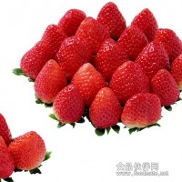 草莓加工機械設(shè)備生產(chǎn)線