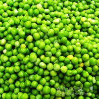 豌豆加工機械設(shè)備生產(chǎn)線
