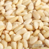 大量供應(yīng)松籽仁