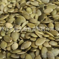 大量供應(yīng)食品廠用南瓜籽仁