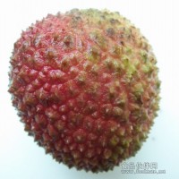 濃縮荔枝汁