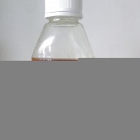 雪梨濃縮汁 廠家 2012濃縮梨汁新品