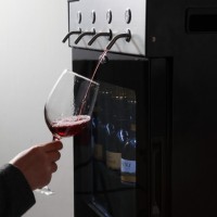 供應(yīng)葡萄酒分酒機、分酒器、保鮮機