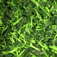 供應(yīng)速凍菠菜