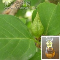 留蘭香油【康華】您的選擇