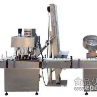 藥片、藥丸、小糖果、口香糖、珍珠、滾珠、玻璃珠等瓶裝生產(chǎn)線