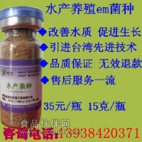 供應水產養殖魚蝦用的EM菌種批發廠家價格