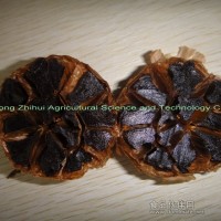 供應(yīng)黑蒜頭