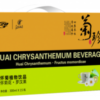 G20菊珍暢飲300mlX15瓶