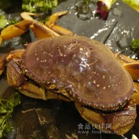 進(jìn)口珍寶蟹（鮮活）