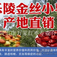 紅棗供應商批發樂陵小棗金絲小棗