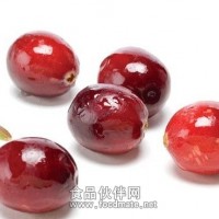 天然果汁粉 歐洲蔓越莓