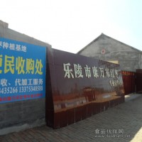 紅棗報價