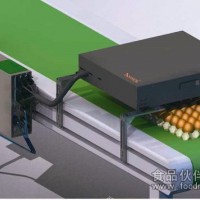 鴨蛋 雞蛋噴碼機