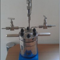 25ml微型高壓反應釜，實驗室小型高壓反應釜