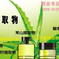 葛根提取物，天然植物提取物，葛根素20%-98%