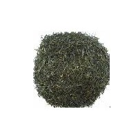 蒸青綠茶