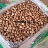 A級無花果干 清倉促銷 只剩10噸 價格優惠