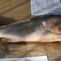 阿根廷黃魚（海捕）