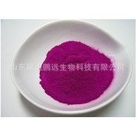 紫薯粉 供應