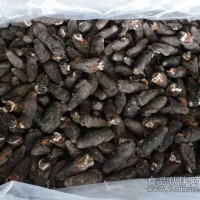 海參    美國八刺參