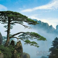 物流運(yùn)費(fèi)核算參考