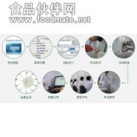 感官軟件分析系統（sensory systems）