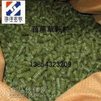 供應紫花苜蓿草顆粒