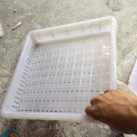 燃氣鍋爐-燃氣蒸汽機