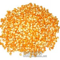 爆米花小玉米去哪買
