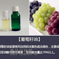 葡萄籽油冷壓萃取廠家品質保證