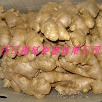 供應出口級風干大姜