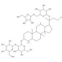 人參皂苷Rc，人參皂苷Rc98%，價格