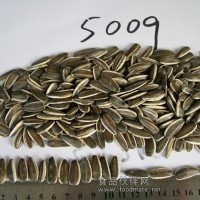 永康炒貨廠長期供應葵花籽5009