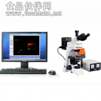 彗星試驗分析系統