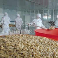 長年供應腌漬姜 泡姜 腌漬生姜 無農藥殘留鹽漬姜 腌制姜