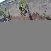 海帶清洗機，土豆清洗漂燙機，竹筍清洗機設備