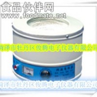 DZTW電子調溫電熱套