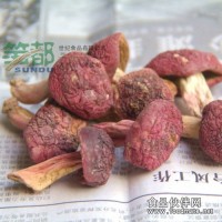 福建武夷山特產紅菇200g