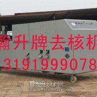 全自動果品去核機