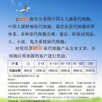 原代細胞培養(yǎng)基、添加劑、試劑盒，
