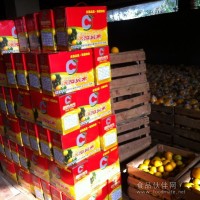 【特價批發供應】峽陽貞果牌甜桔柚 進口品種 風味