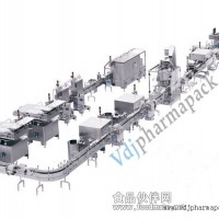 全自動(dòng)電子數(shù)粒包裝線(xiàn)
