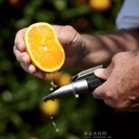 水果甜度計折射儀折光儀折光計