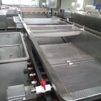 篩板式果蔬清洗機芹菜去泥高壓清洗機