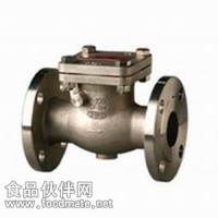 進(jìn)口升降式止回閥