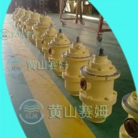 HSJ40-46三螺桿泵小流量點火循環泵