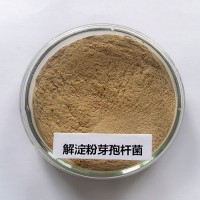 解淀粉生產(chǎn)廠家|解淀粉價(jià)格|肥料菌種供應(yīng)商|發(fā)酵菌種