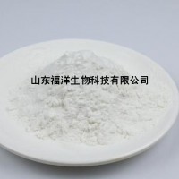 膠粘劑氧化淀粉的生產廠家-山東福洋淀粉