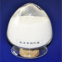 膠凍樣芽孢桿菌在肥料中的應(yīng)用